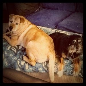 Meet your Posher, Kristin